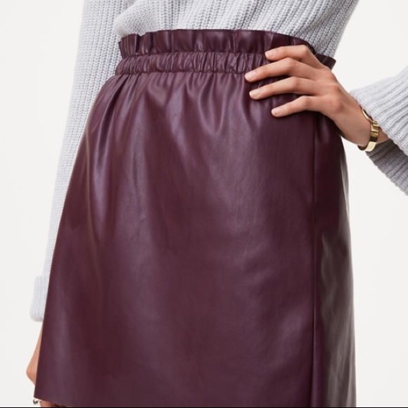 NWT Loft skirt - Picture 1 of 4